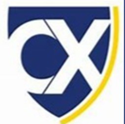 ICXI Logo